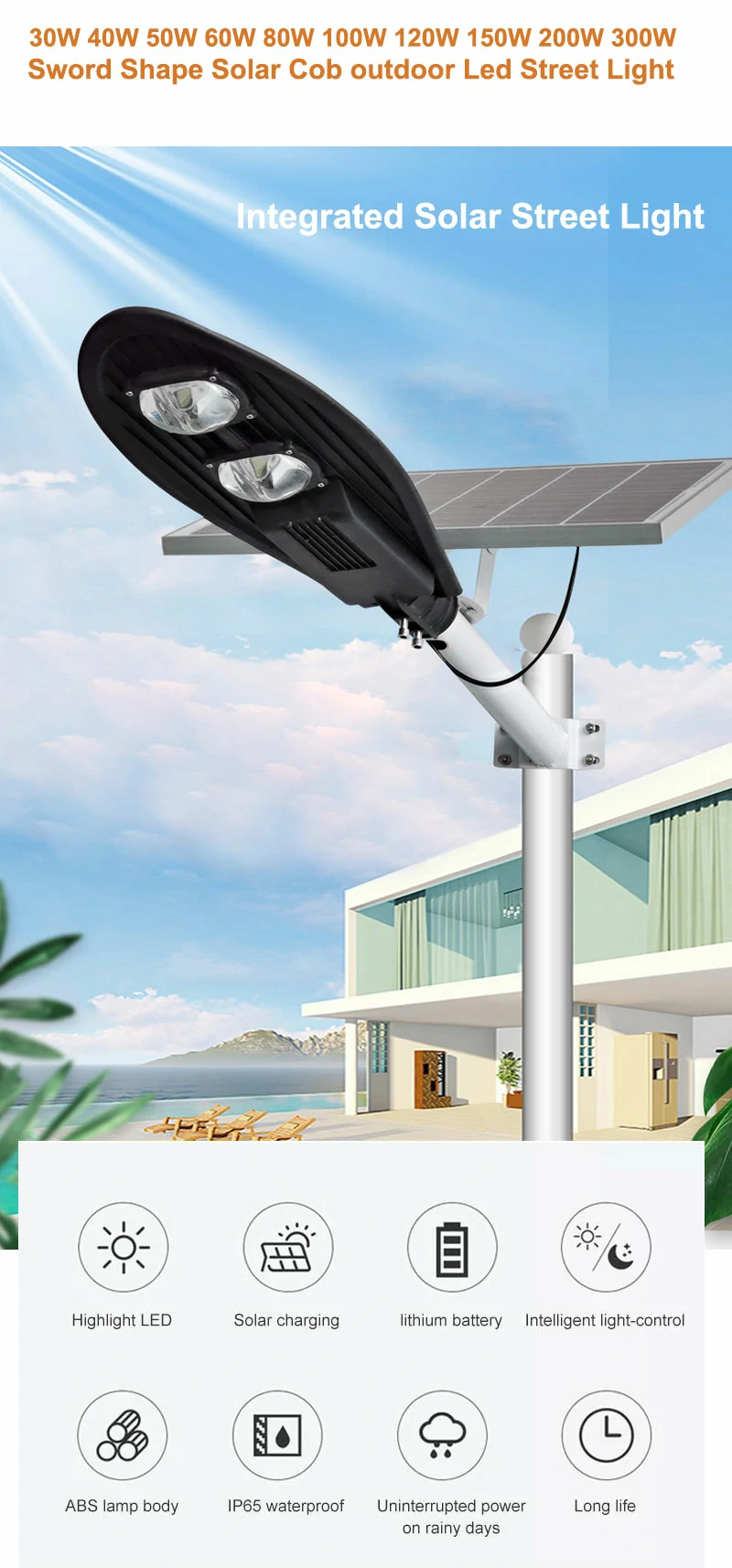 cobra solar street light 9