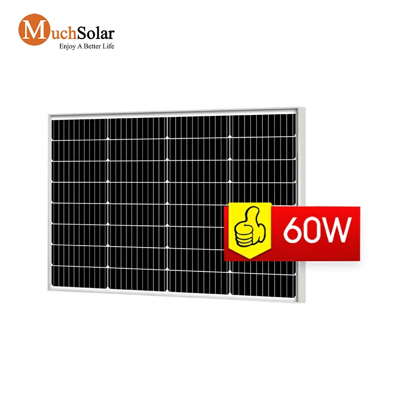 60 watt solar panel 2